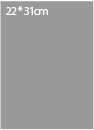 220 * 310mm<br/><span style='font-size:11px;'>(220 * 310mm)</span>
